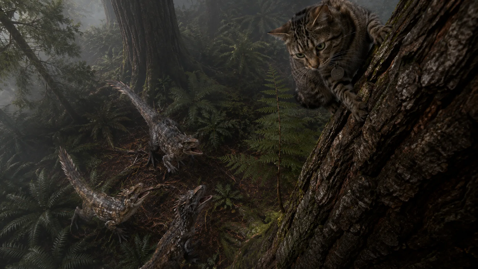 The cat high in a conifer, looking down at feathered pack-hunters circling the base of the trunk.