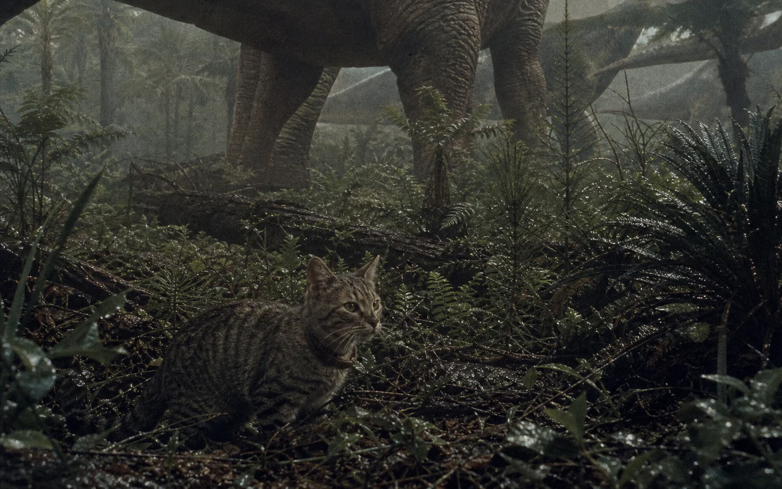 A tabby house cat crouches on a wet Jurassic forest floor beneath passing sauropods